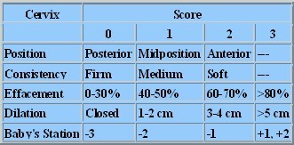 Bishop's Score Readiness